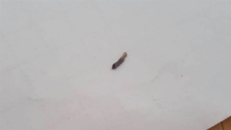 不聽老人勸！她挖肚臍「挖出1公分黑色精華」：感覺沒怎樣阿　隔天「開始感覺到不對勁」真的GG了