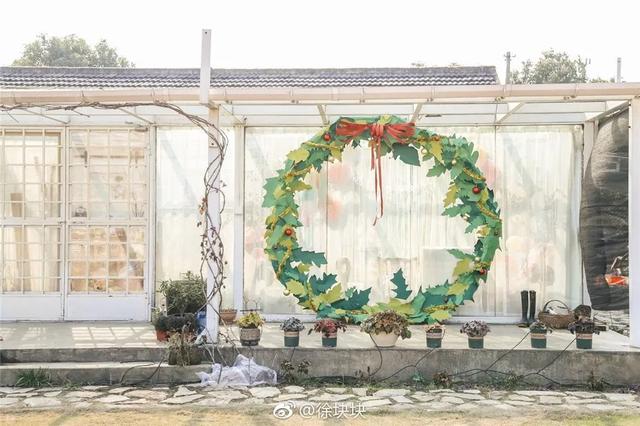 18歲少女帶父母「隱居鄉村10畝農家院」不愛都市　種花吃菜「徒手改造成夢幻田園」一家人如童話角色