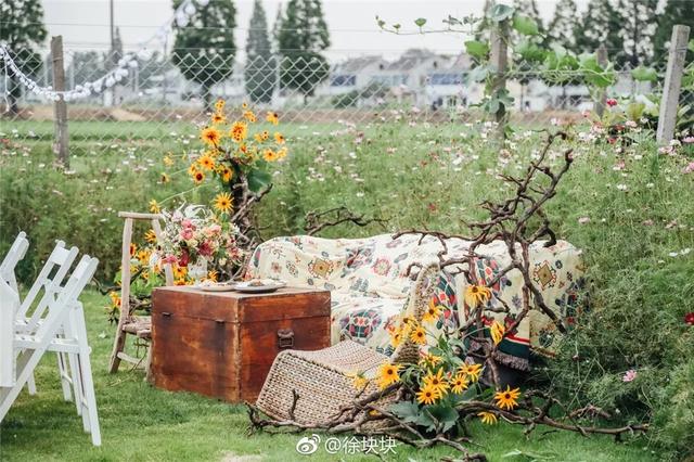 18歲少女帶父母「隱居鄉村10畝農家院」不愛都市　種花吃菜「徒手改造成夢幻田園」一家人如童話角色