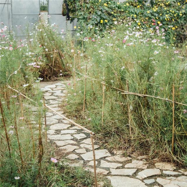 18歲少女帶父母「隱居鄉村10畝農家院」不愛都市　種花吃菜「徒手改造成夢幻田園」一家人如童話角色