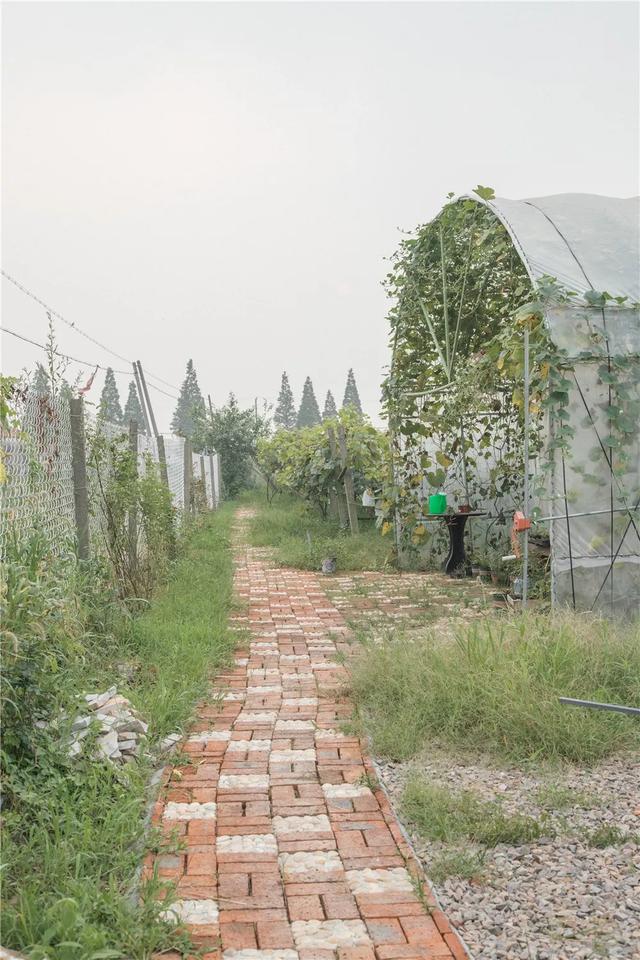 18歲少女帶父母「隱居鄉村10畝農家院」不愛都市　種花吃菜「徒手改造成夢幻田園」一家人如童話角色