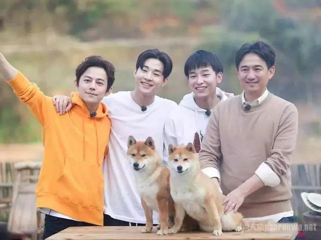 有一天我不在，樹在！編曲之父「捧紅王傑、林憶蓮」一生低調淡泊　患重症離去「忘年之交從此不唱歌」
