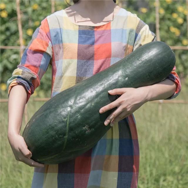 18歲少女帶父母「隱居鄉村10畝農家院」不愛都市　種花吃菜「徒手改造成夢幻田園」一家人如童話角色