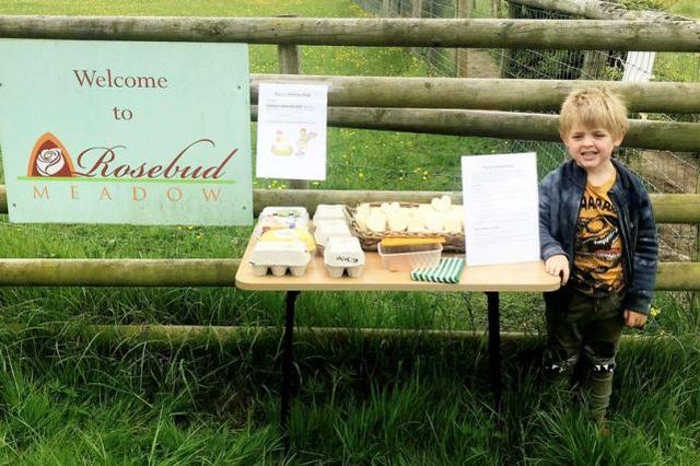 想要自己賺錢買畫書！英國5歲男童「擺誠信商店」財貨卻被一夜盜空　事後「童真發問」媽媽也無措
