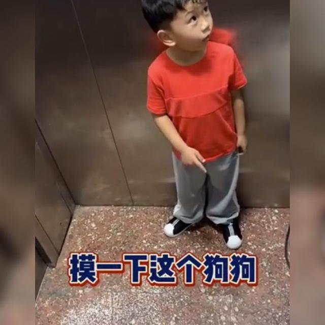 真的超想摸！男孩電梯內「遇可愛小狗」　忍不住「禮貌詢問」讓狗主人當場傻住：心好累～