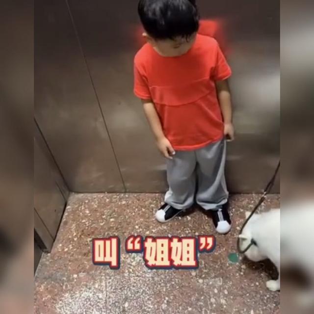 真的超想摸！男孩電梯內「遇可愛小狗」　忍不住「禮貌詢問」讓狗主人當場傻住：心好累～