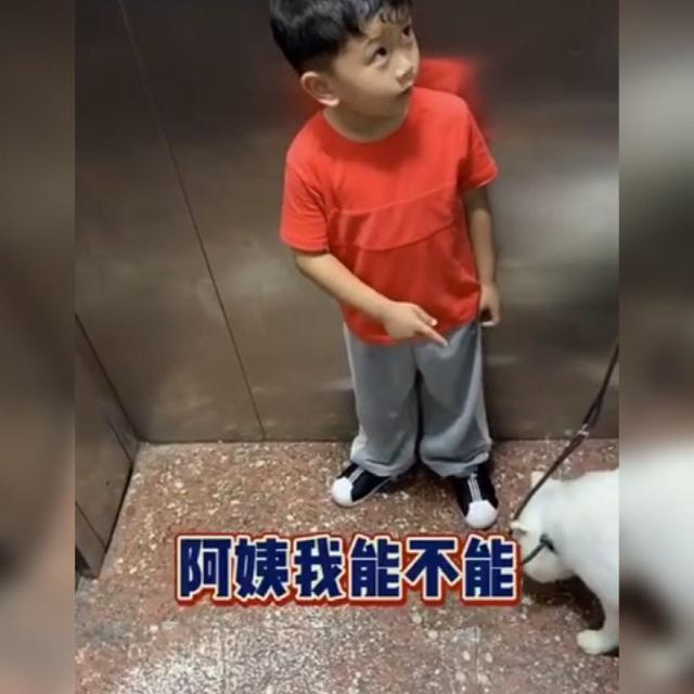 真的超想摸！男孩電梯內「遇可愛小狗」　忍不住「禮貌詢問」讓狗主人當場傻住：心好累～