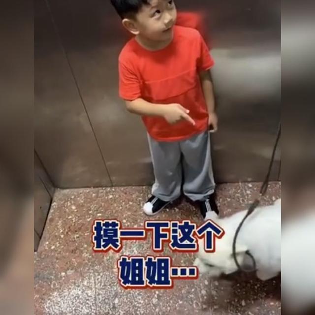 真的超想摸！男孩電梯內「遇可愛小狗」　忍不住「禮貌詢問」讓狗主人當場傻住：心好累～