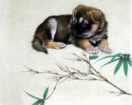 心地最好！「有情有義」的六個生肖「一生有貴人相助」福報享不盡