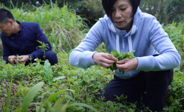 隱居山林！作家伴侶「彼此獨立又密不可分」分住兩座山頭　首曝「超獨特生活方式」網喊：不可思議