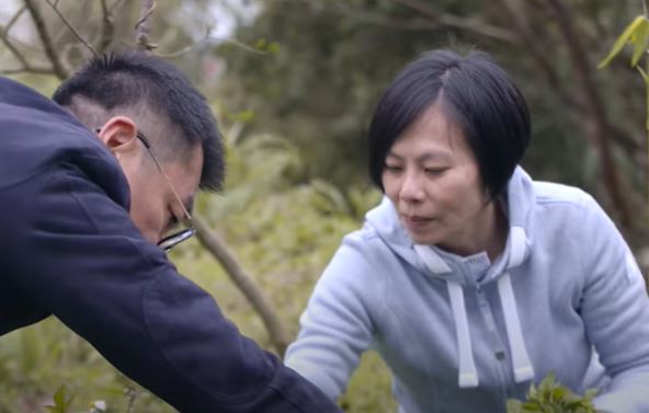 隱居山林！作家伴侶「彼此獨立又密不可分」分住兩座山頭　首曝「超獨特生活方式」網喊：不可思議