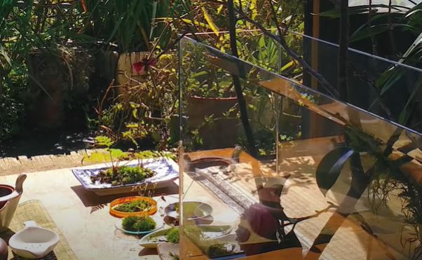 隱居山林！作家伴侶「彼此獨立又密不可分」分住兩座山頭　首曝「超獨特生活方式」網喊：不可思議