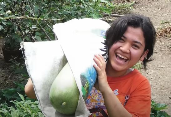 隱居山林！作家伴侶「彼此獨立又密不可分」分住兩座山頭　首曝「超獨特生活方式」網喊：不可思議