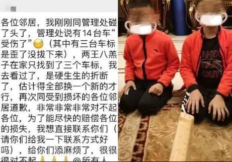 坑慘父母！兄弟倆闖禍掰斷「14輛奔馳車標」　爸爸超智慧處理「車主秒消氣」全網稱讚：最棒教育