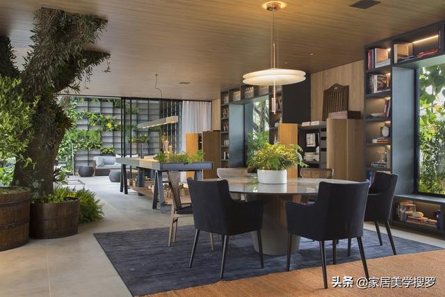 與樹相生！豪宅「與大自然相融」屋內大樹開枝散葉　空間不分內外「客廳旁就是庭院」從陽光中醒來