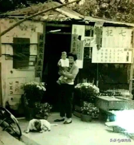 女人的堅韌！周慧敏媽媽「懷孕痛失丈夫」堅持生下孩子　四處打工「再苦也栽培女兒」終能安享下半生
