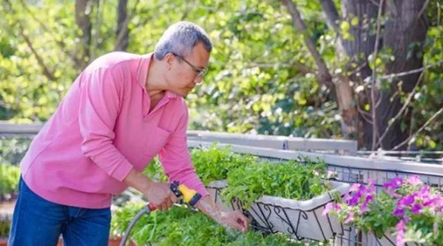 送太太驚喜！53歲農民拚到中年「6個貨櫃打造60坪豪宅」　隱居都市「宛如世外桃源」餘生與妻澆花種菜 