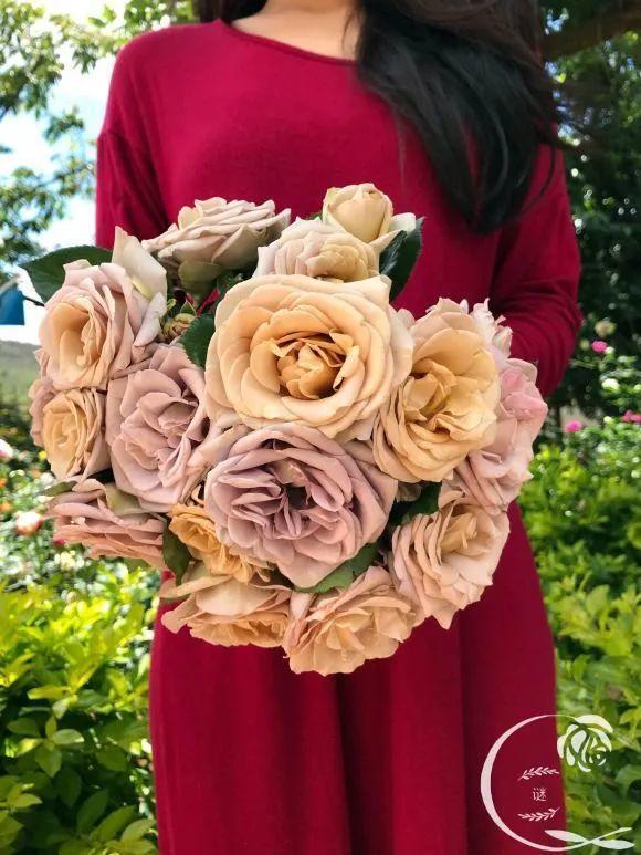 人間天堂！女兒辭職回家「老爸給15畝地」：妳種花，我種果　父女分工合作「甜過田園生活」自給自足