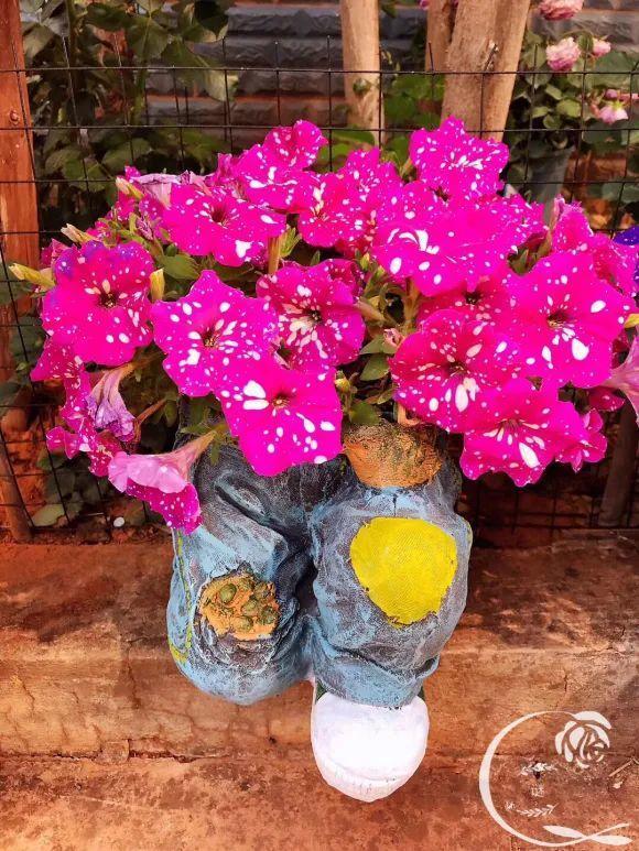 人間天堂！女兒辭職回家「老爸給15畝地」：妳種花，我種果　父女分工合作「甜過田園生活」自給自足