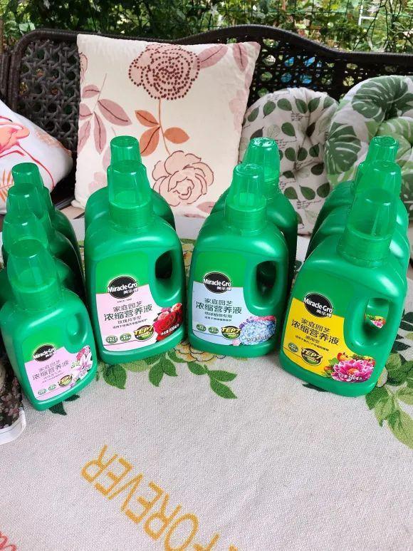 人間天堂！女兒辭職回家「老爸給15畝地」：妳種花，我種果　父女分工合作「甜過田園生活」自給自足