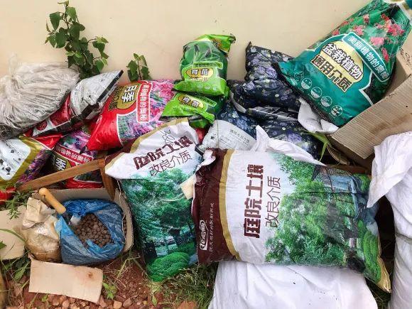 人間天堂！女兒辭職回家「老爸給15畝地」：妳種花，我種果　父女分工合作「甜過田園生活」自給自足