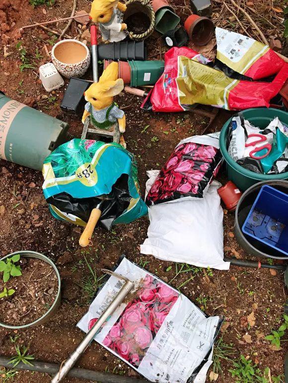 人間天堂！女兒辭職回家「老爸給15畝地」：妳種花，我種果　父女分工合作「甜過田園生活」自給自足