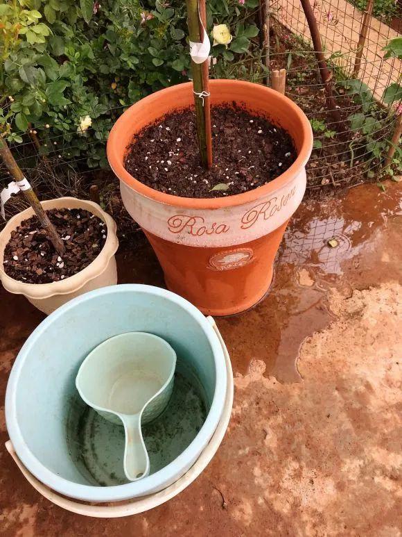 人間天堂！女兒辭職回家「老爸給15畝地」：妳種花，我種果　父女分工合作「甜過田園生活」自給自足