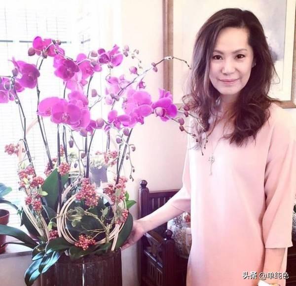 把女兒養成仙女！才女嫁老實尪「恩愛是最棒身教」2千金才貌兼備　其一成甄子丹愛妻「豪門婆婆超佩服」