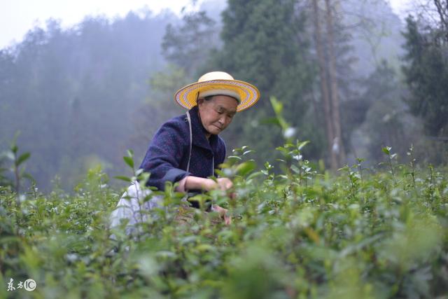 不要指望養兒防老！62歲的老太太忠告：「有兒子的趁早打算」別吃我這樣的虧