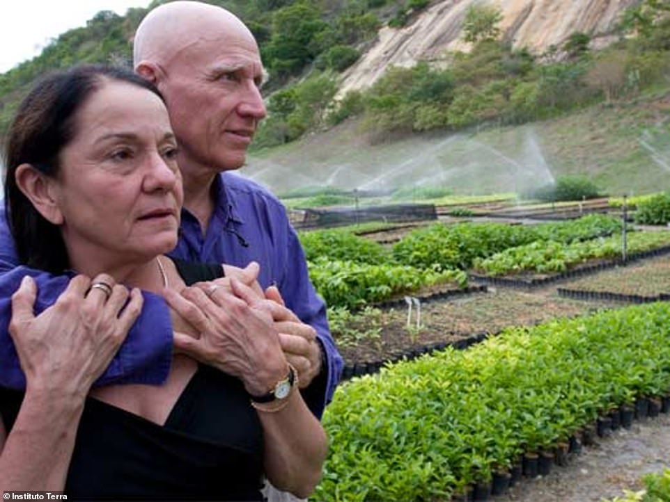 家鄉變成乾涸荒地！善良夫妻「堅持植樹近20年」拯救地球　種出「700公頃翠綠雨林」變身為動物天堂