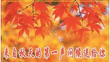 今天立秋，祝福送上！「願你有好運」為秋天開個好頭，接住幸福平安過金秋