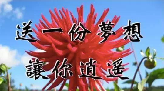 今天立秋，祝福送上！「願你有好運」為秋天開個好頭，接住幸福平安過金秋