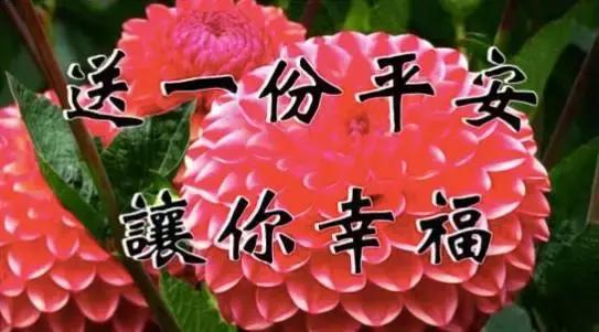 今天立秋，祝福送上！「願你有好運」為秋天開個好頭，接住幸福平安過金秋
