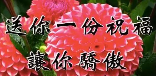 今天立秋，祝福送上！「願你有好運」為秋天開個好頭，接住幸福平安過金秋