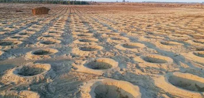 地球修復中！世界政府「十億樹海計畫」復育大成功　不到一年「貧瘠荒地→狂冒綠芽」山坡上更壯觀