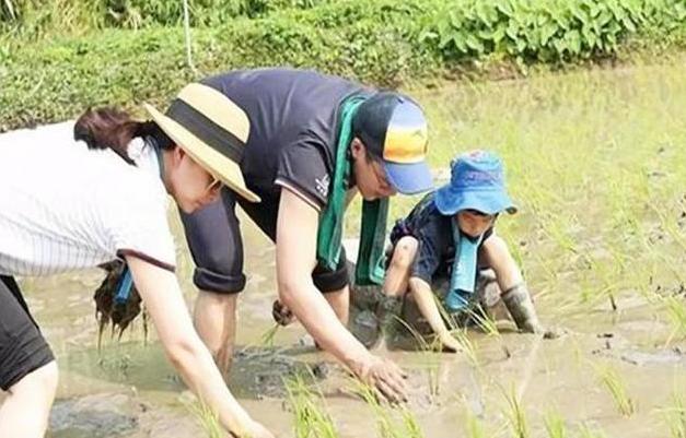 真正的豪門教育！郭晶晶「曬子女吃早餐照」細節被網友推爆：孩子，我希望你們是有出息的人