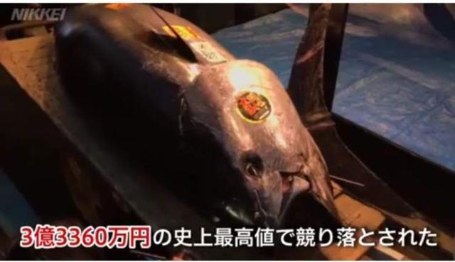 每年只收穫一顆！日本「天價桃」單價過百萬　農戶保證「吃一口就感動」連自己都沒想到：堪稱奇跡