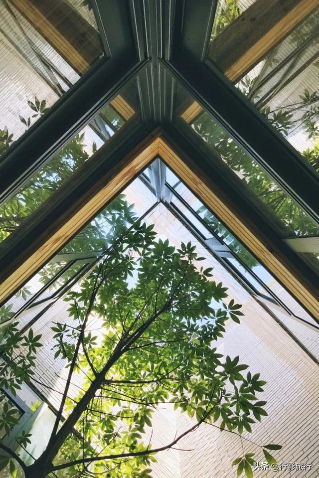 23歲年輕人不簡單！「為家人自建4層樓別墅」貼近生活需求　屋內藏最大亮點「設計成果令人滿意」