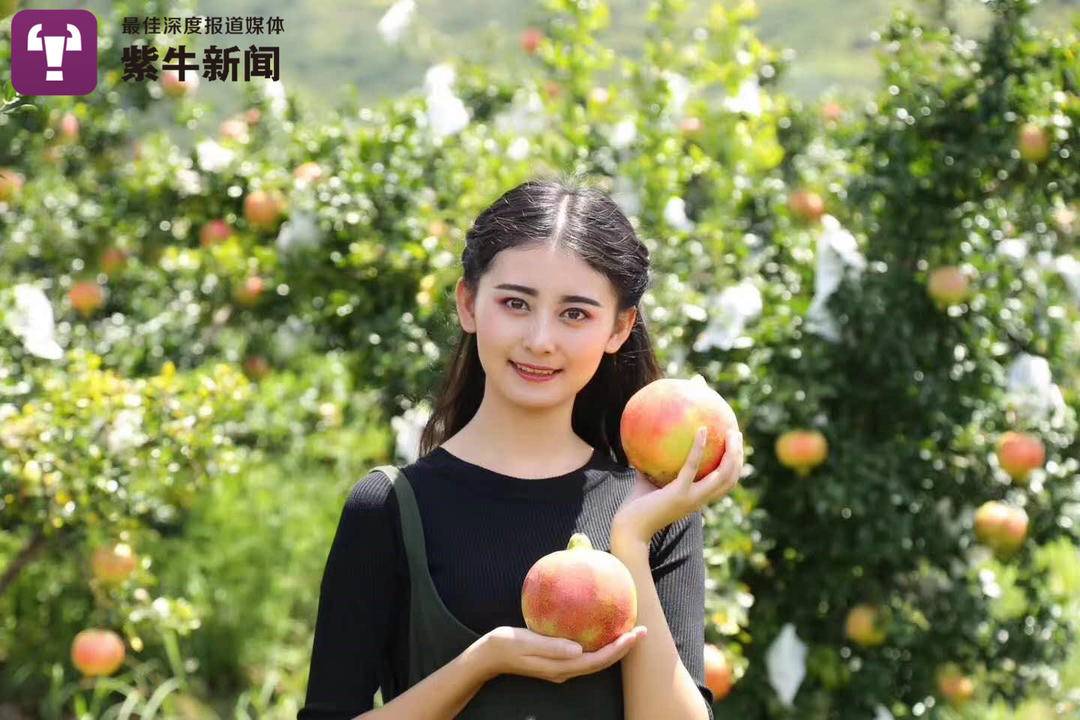 全村人的驕傲！亮麗空姐轉念「辭職回鄉賣水果」每年狂賺上億　回饋鄉親「助孩子走出山中」人美心也美　