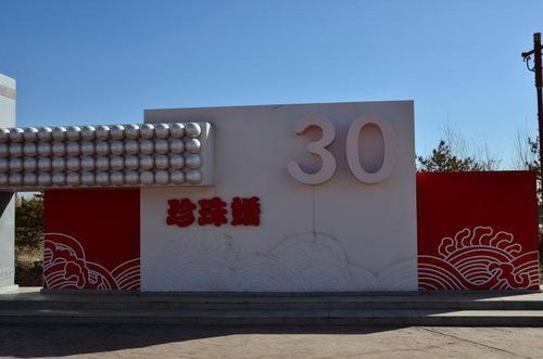 野花總比家花香！與夫相守30年卻「抵不過他人15天相識」　中年人的愛情觀「能忍則忍」