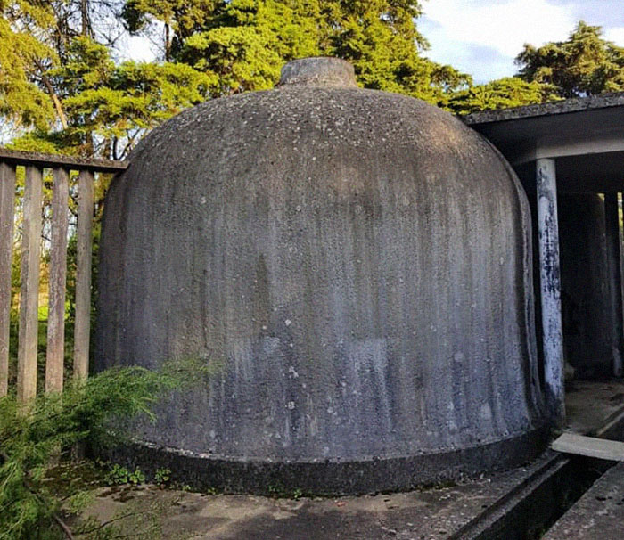 藝術家把「灰色水泥塊→逼真公車」爆紅全網！再曬超強力作「斑駁牆面變巨大甲蟲」超狂畫技太震撼