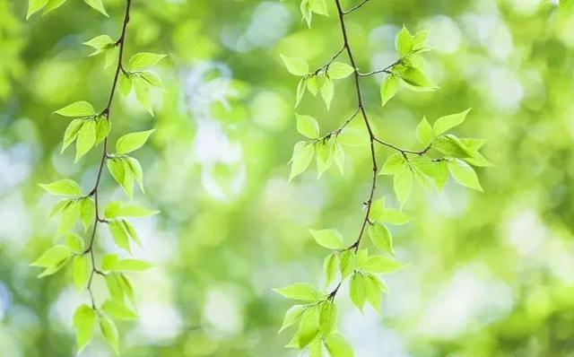 當你老了孤獨一人「會想跟子女一起住」享天倫樂？　聽聽3位過來人經驗：做到再好還是被嫌