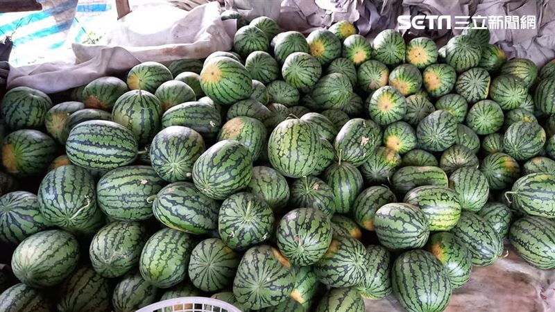 獨力扶養2孫！花蓮80歲老農「3千顆西瓜被棄單」錢都沒了　神秘男到場「一天全賣光」幫度過難關