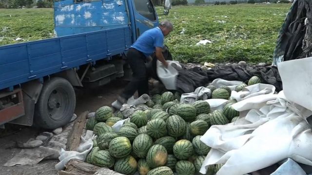 獨力扶養2孫！花蓮80歲老農「3千顆西瓜被棄單」錢都沒了　神秘男到場「一天全賣光」幫度過難關