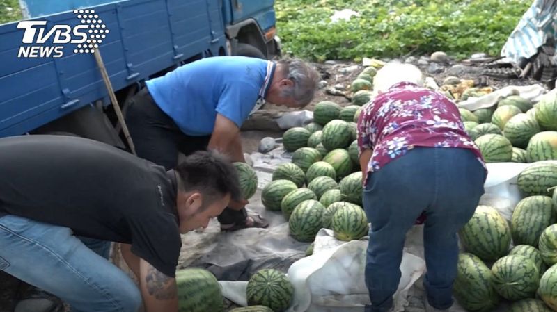 獨力扶養2孫！花蓮80歲老農「3千顆西瓜被棄單」錢都沒了　神秘男到場「一天全賣光」幫度過難關