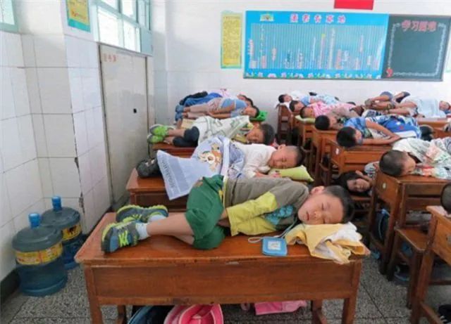 姿勢過分野！越南上班族「午睡姿勢太奇葩」驚呆老闆，一到中午「辦公室→野戰醫院」有夠狂