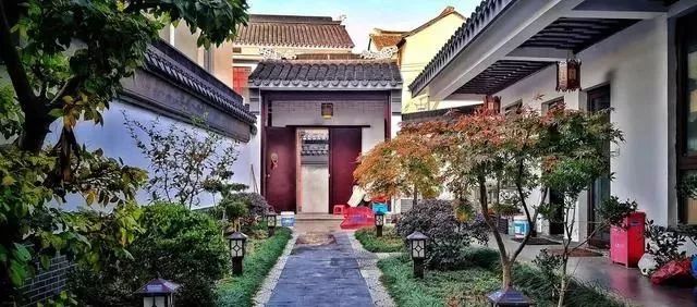 俗語：「五樹進宅，人窮家敗」指的是哪五種樹？注意不要給家裡帶來厄運