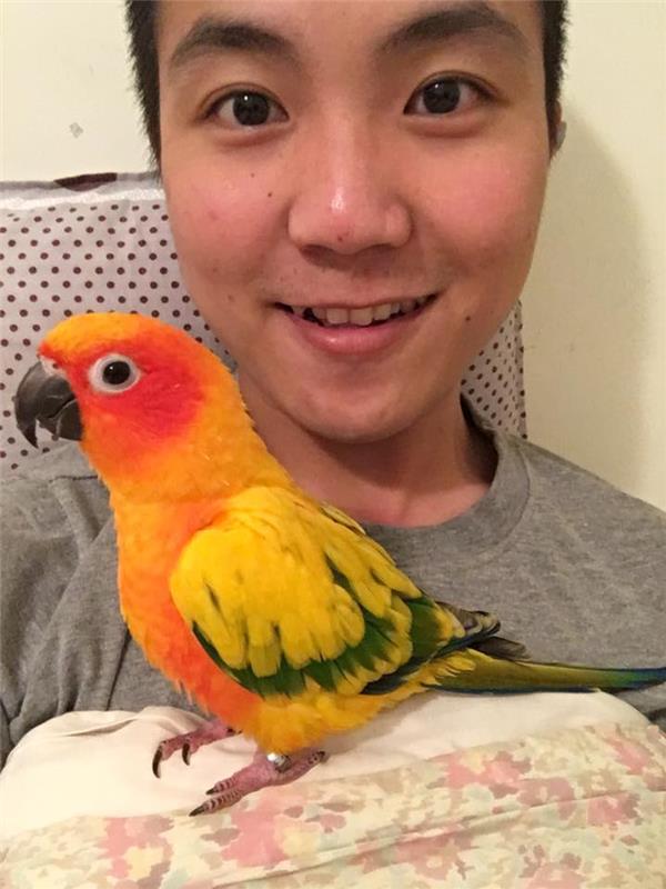 爆紅後神隱！《戲說台灣》許定南當年「15歲台語超流利」　14年後「重返本土劇」：骨子裡希望成為好演員