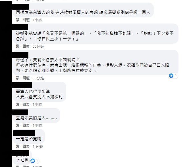 勸不聽！桃園韭菜花海「被遊客擅闖」心血全被踩　老農民淚曝「晚上都睡不安穩」：醒來花就沒了