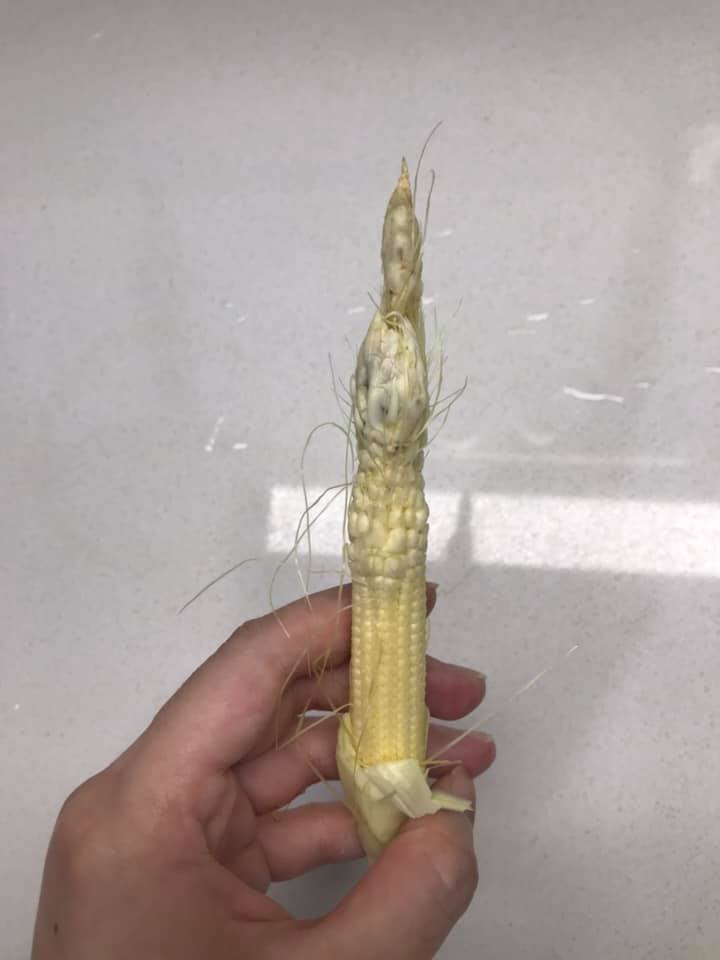 有錢還吃不到！好市多玉米筍「驚見灰白色腫包」想退貨　網友曝「比松露還高級」讚翻：口感更特殊　
